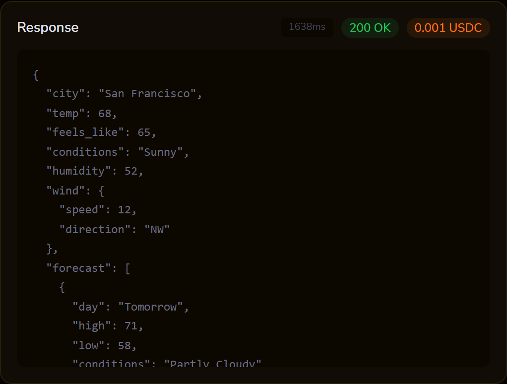 API response with payment metadata